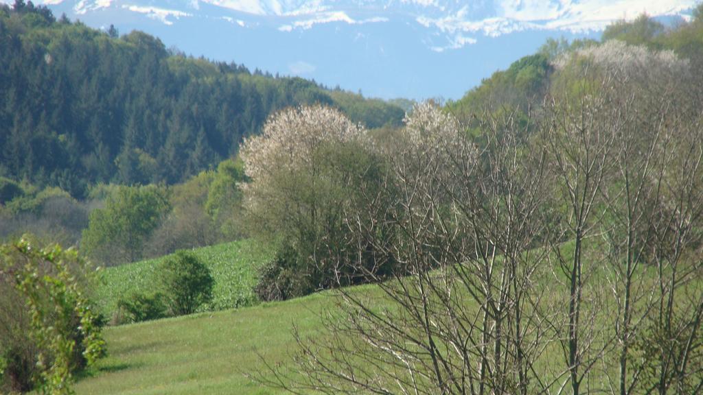 Gite Du Paradis Vieuzos Luaran gambar